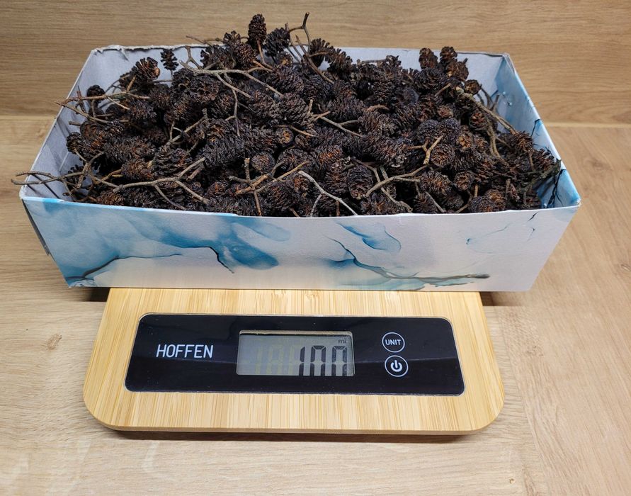 OLCHA CZARNA szyszki 200g / suszone liście dla krewetek