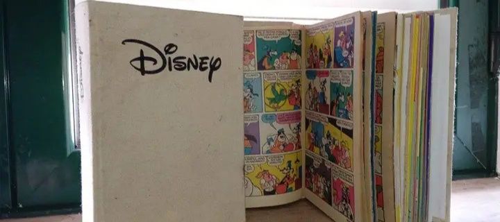 Livros Disney capa dura edição limitada almanaques e