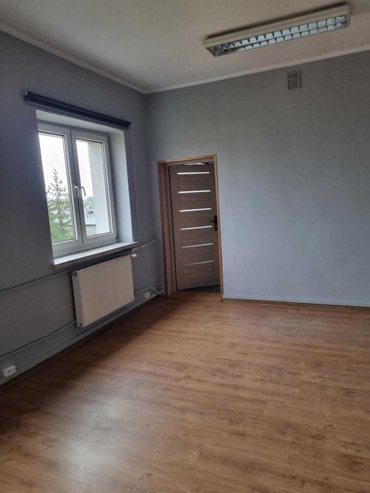 Lokal - biuro do wynajęcia