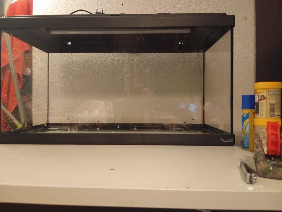 Aquário aquaatlantis 60 litros