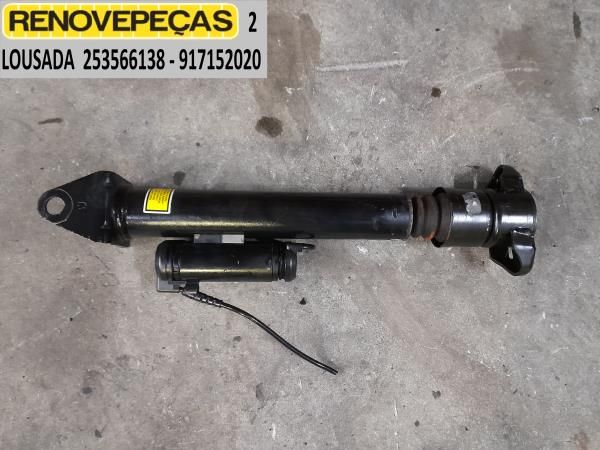 Amortecedor trás esquerdo MERCEDES-BENZ Classe R (W251, V251)