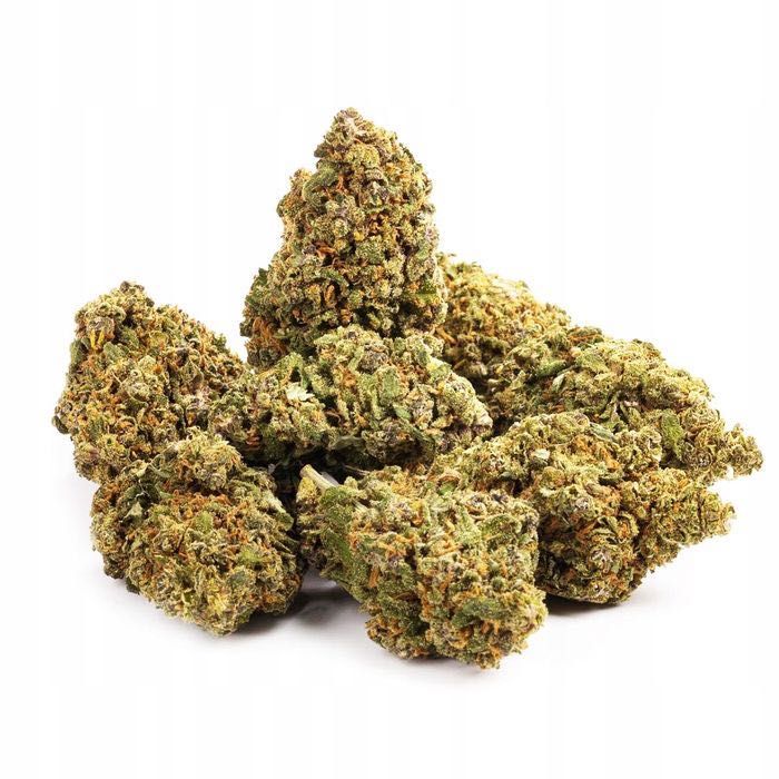 100G Susz konopny CBD LEMON HAZE 0,20%