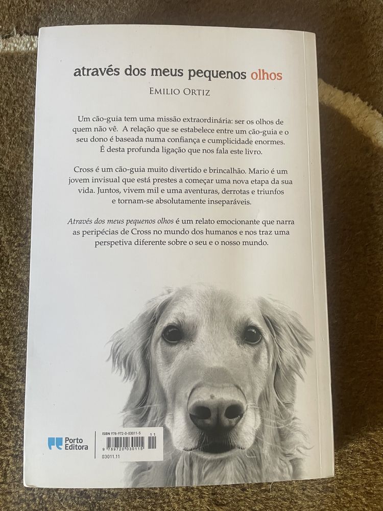 Livro “Através dos meus pequenos olhos”