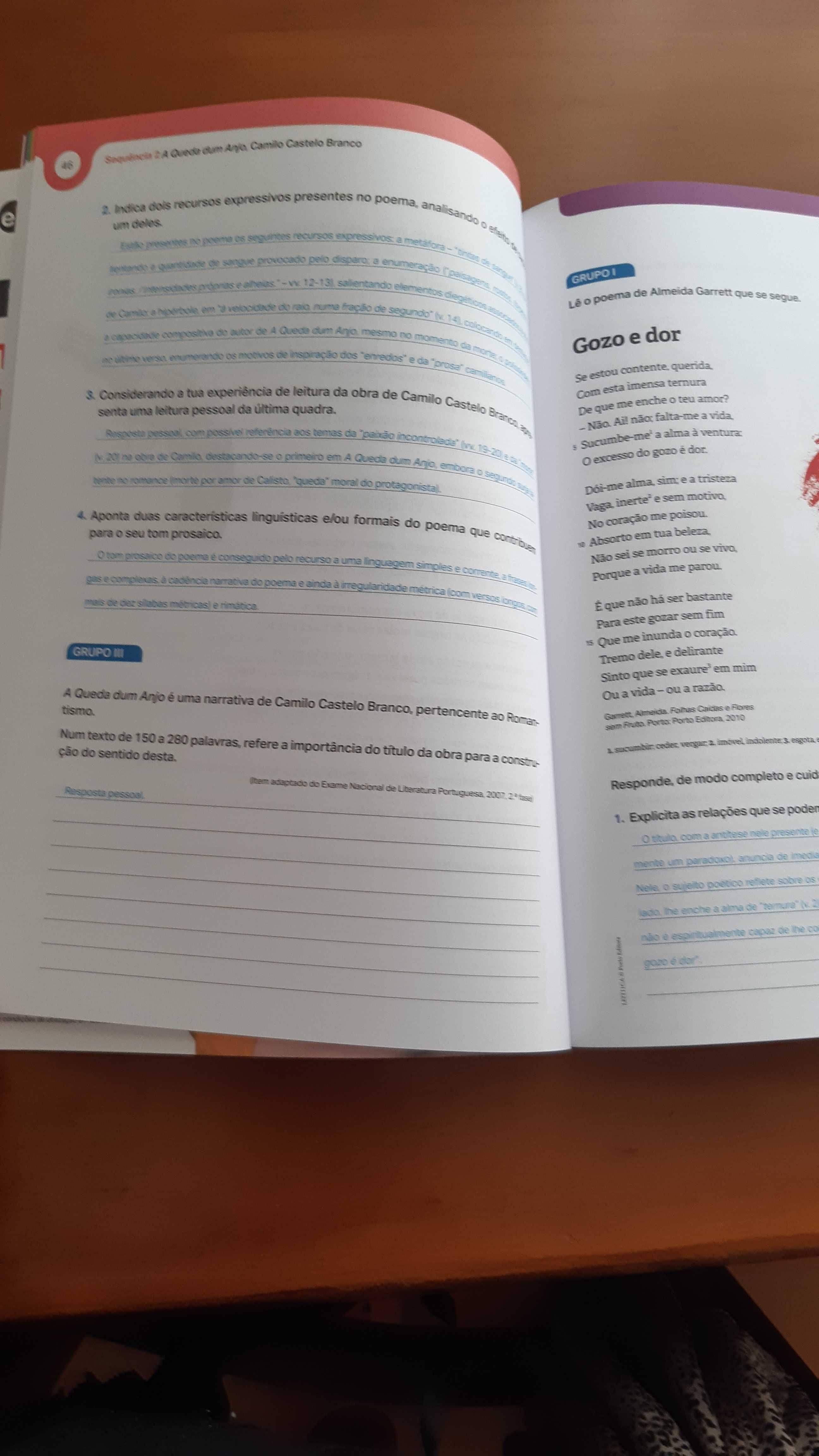 Leituras - Literatura Portuguesa - 11.º ano Manual com caderno de ativ