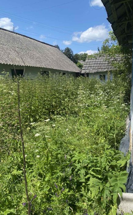 Будинок земельною ділянкою 50 сотих