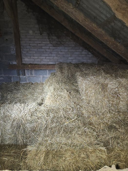 Sprzedam siano..