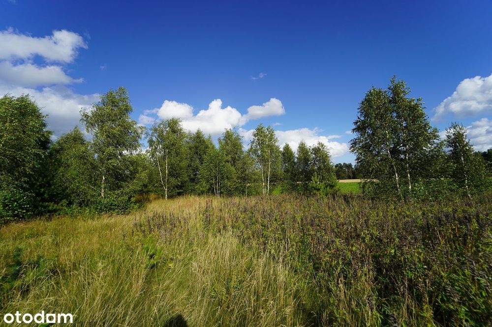 Działka budowlana, MPZP, gotowe media –jeziora, Kaszuby, Gdańsk 30 min