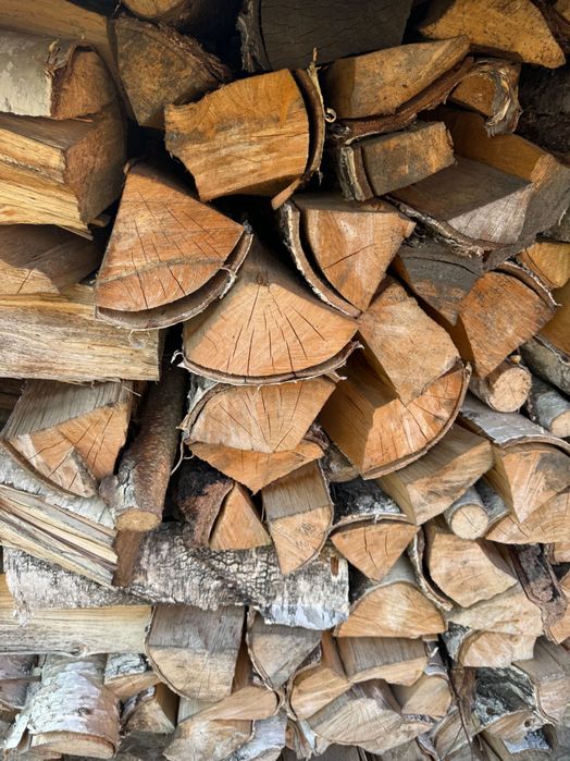 Drewno kominkowe