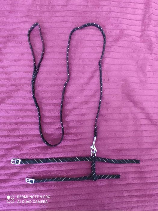 Повідок для котика (маленької собачки)