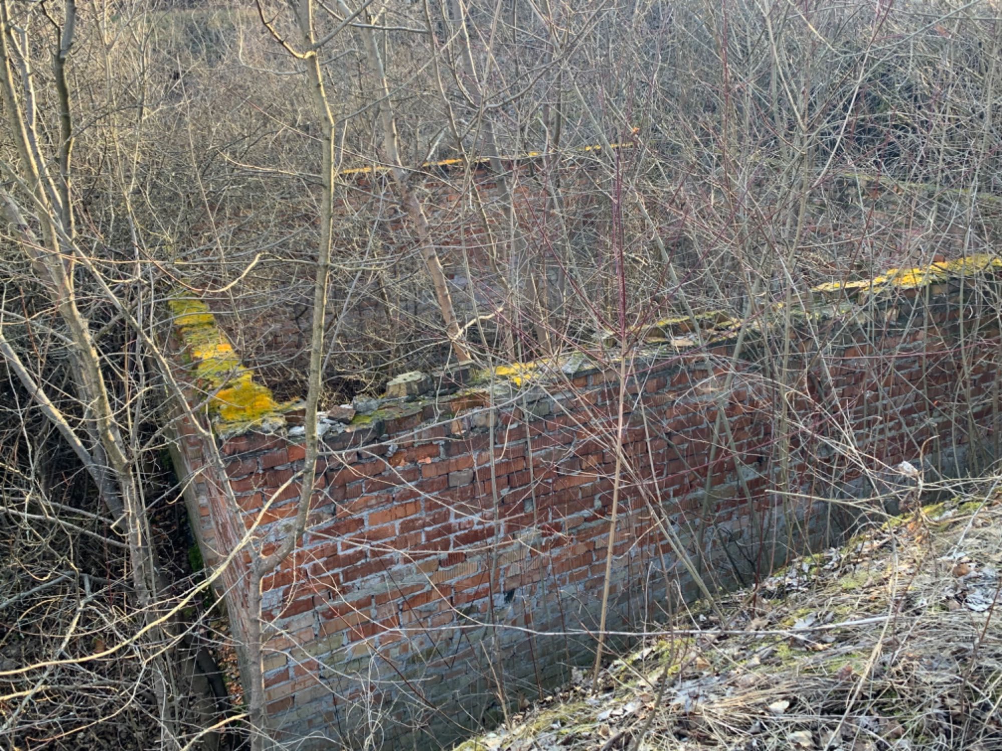 Дача участок село Волосское Братское