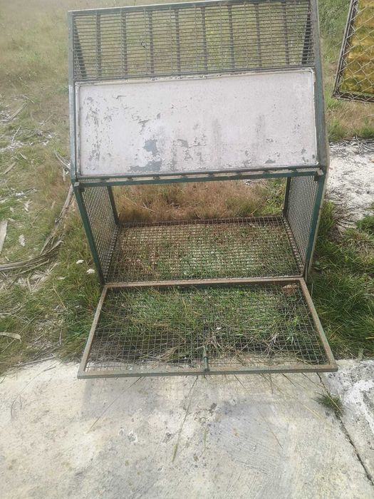 sepotenik para pombos entrada