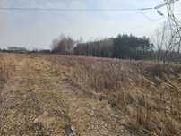 Działka 22 ar budowlane plus 7 rolnego