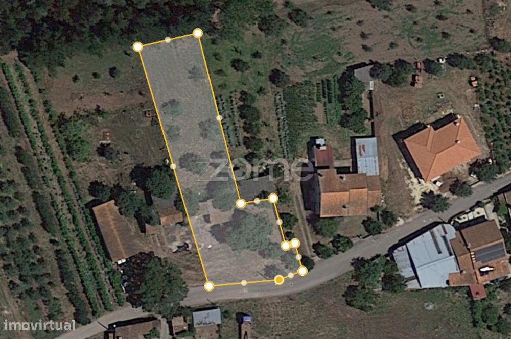 Terreno em Avelãs de cima