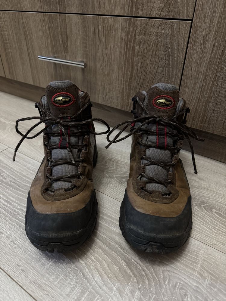 Трекінгові ботинки Adidas GORE-TEX