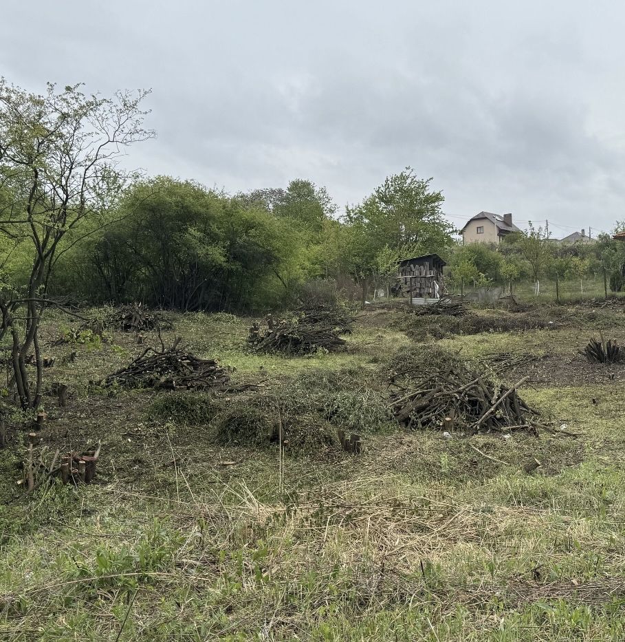 Розчищення ділянок від дерев і кущів