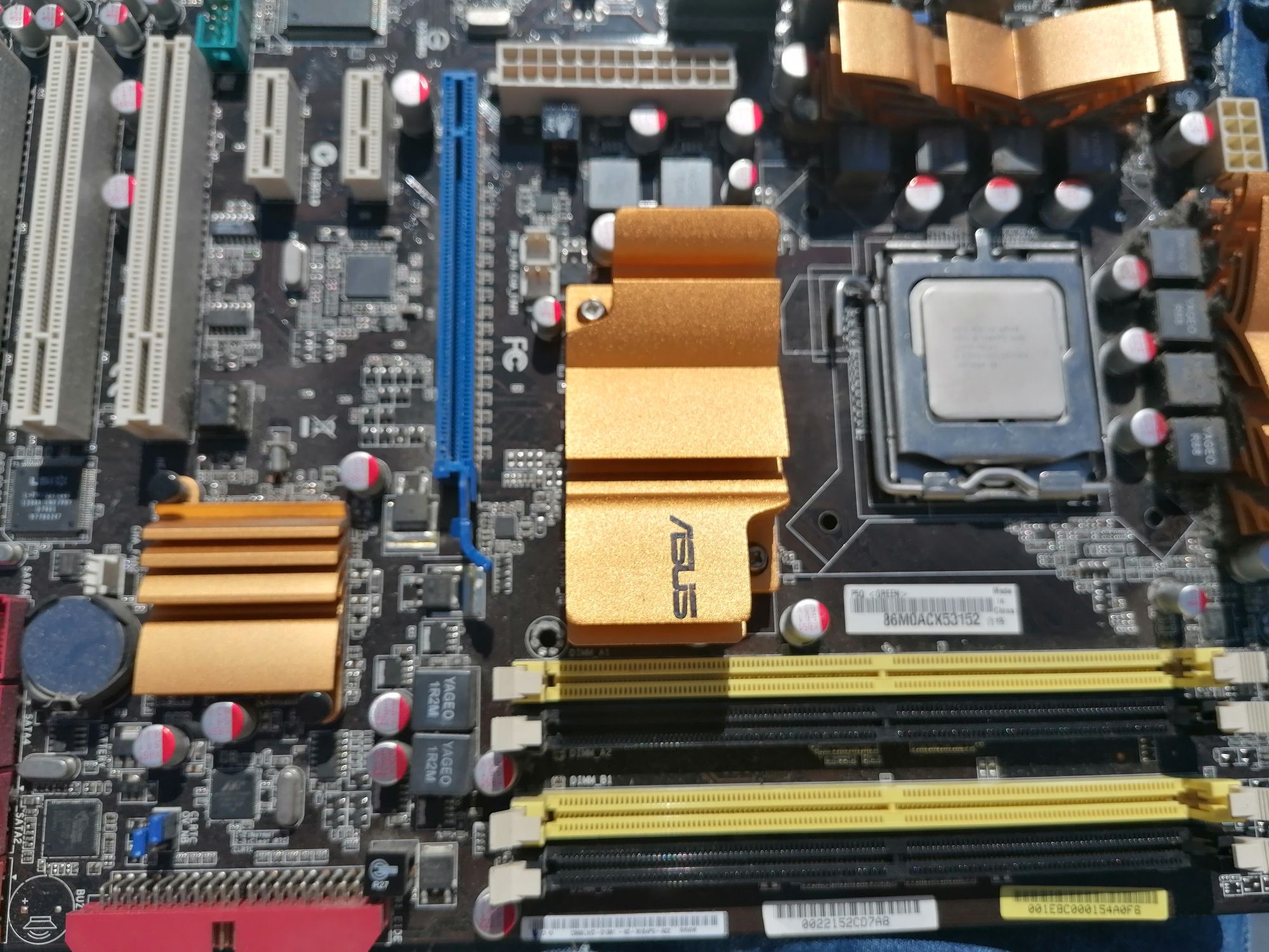 Motherbord ASUS com processador Intel m c 06