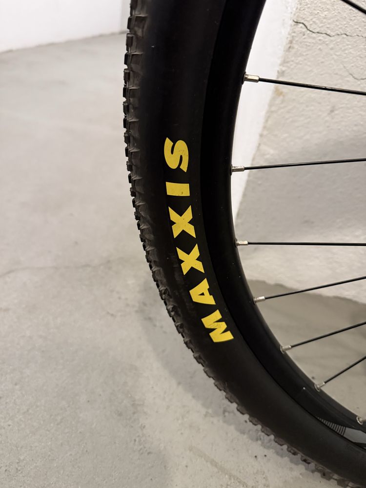 BTT Coluer Pragma 29”