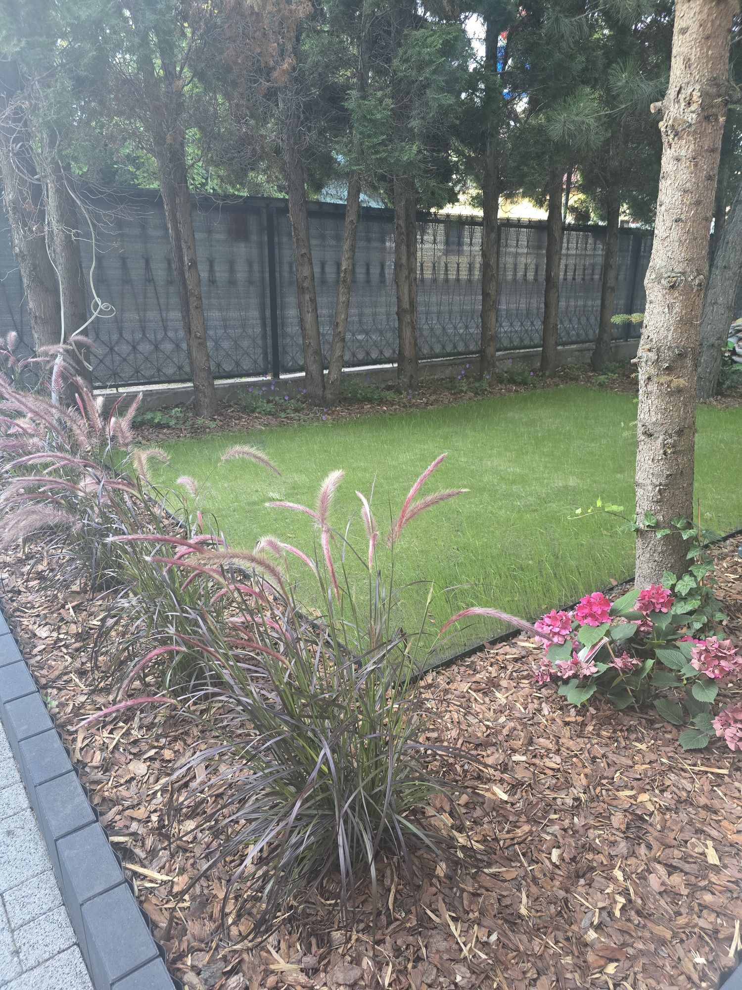Trawa w rolce na macie 40 m2