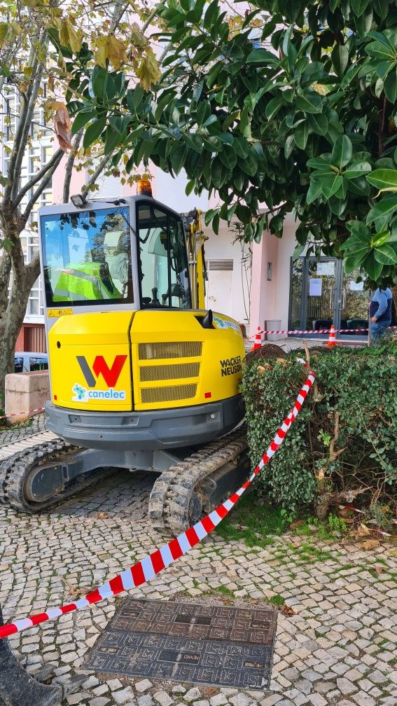 Serviços de mini giratoria com manobrador