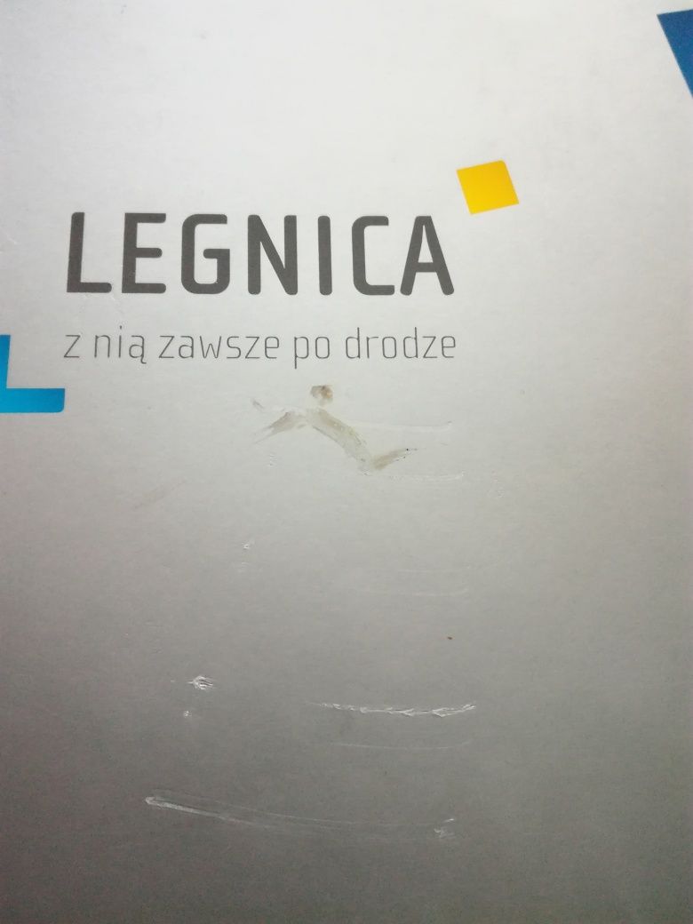 Legnica album 2011 Urząd Miasta fotografie zdjęcia fotografia