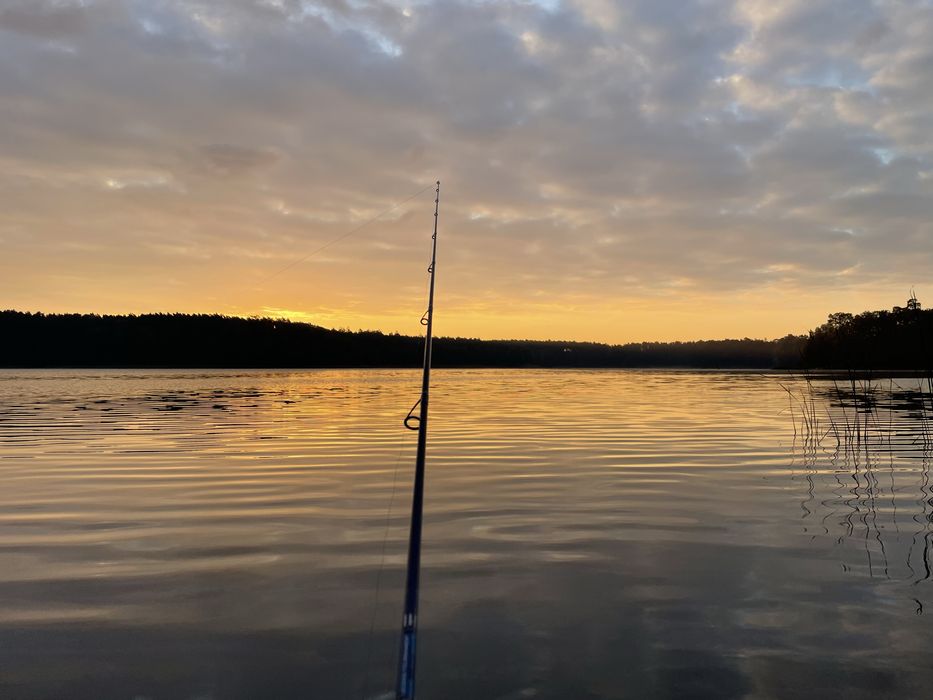 St Croix Legend Tournament Walleye: LWTS63MXF.