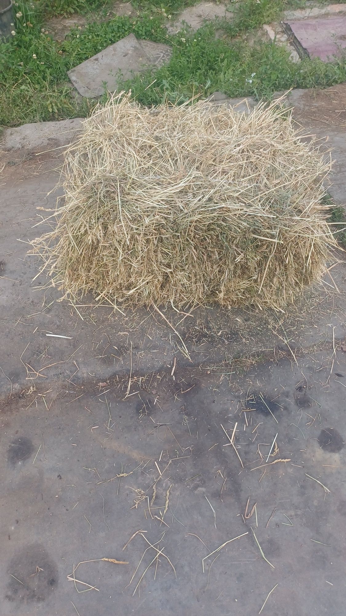 Лугове сіно продам недорого