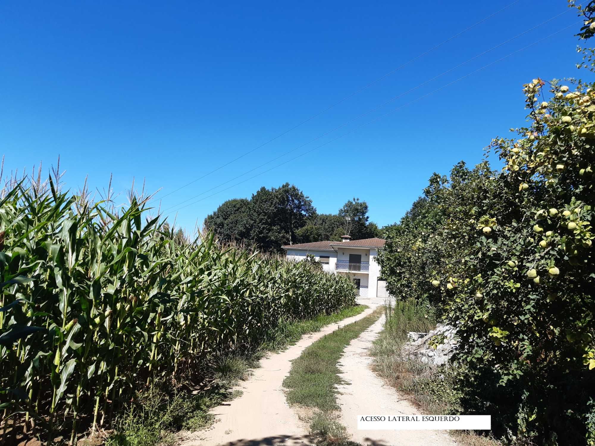 Venda de Quinta com Casa T4 em Dume, Braga