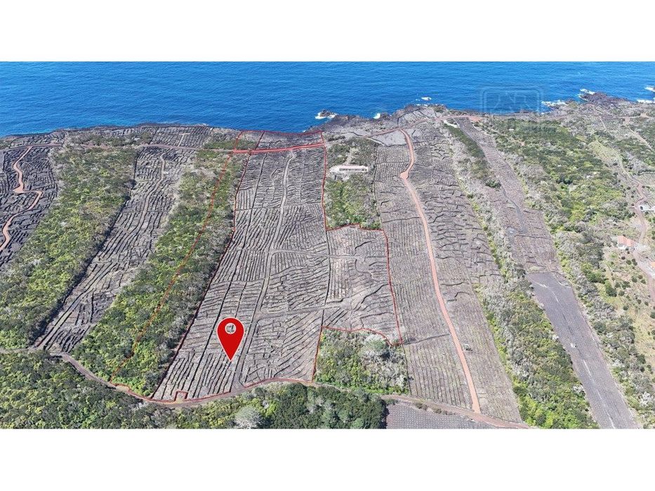 VENDA de AMPLO TERRENO com VISTA MAR e Montanha da Ilha do Pico - C...