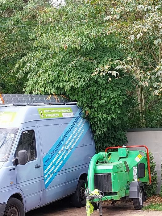 WYCINKA DRZEW i prace porzadkowe. Myce  Dachów i elewacji