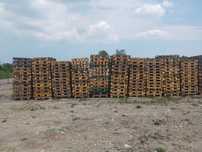Sprzedam palety jednorazowe 1200x800