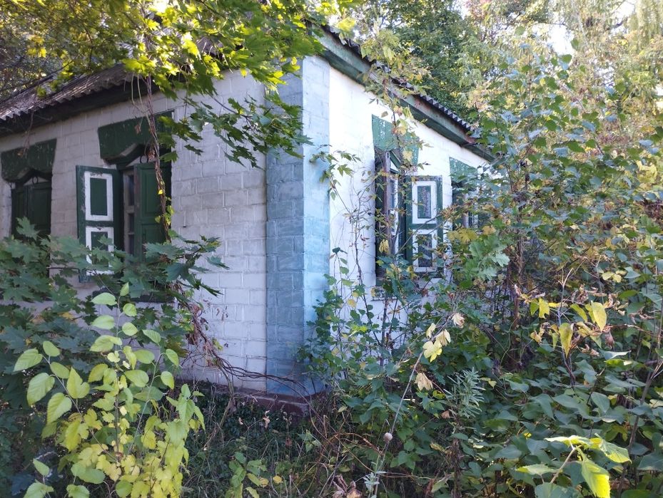 Допомога будинок