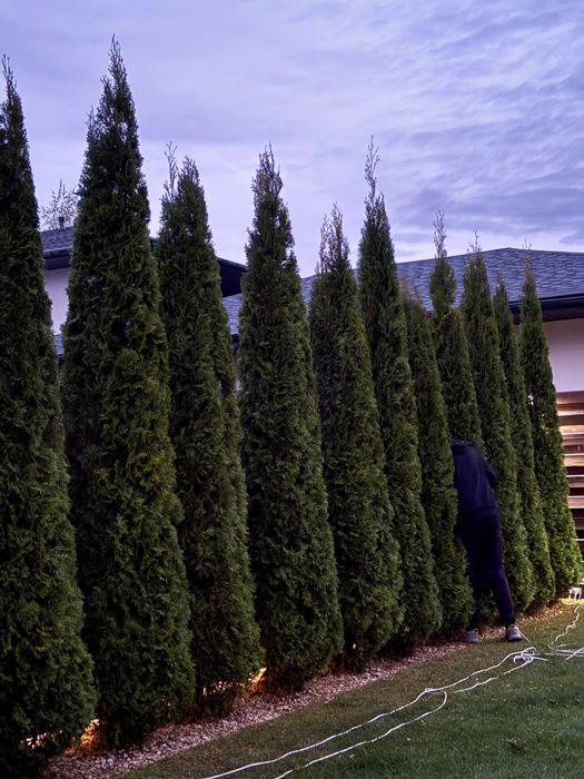 Ландшафтний дизайн,Садівник Вишневе,Білогородка