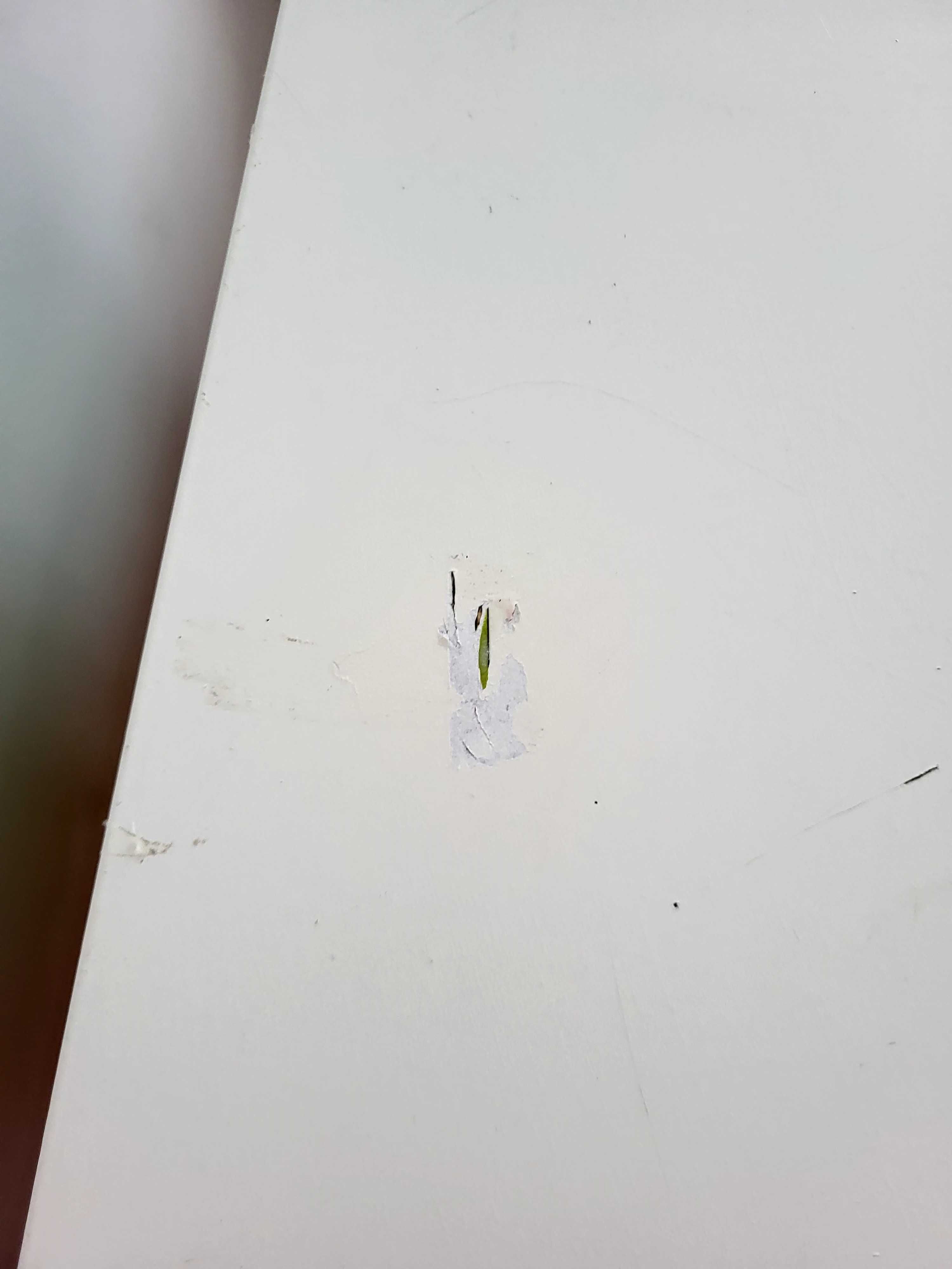 Szafka trofast ikea