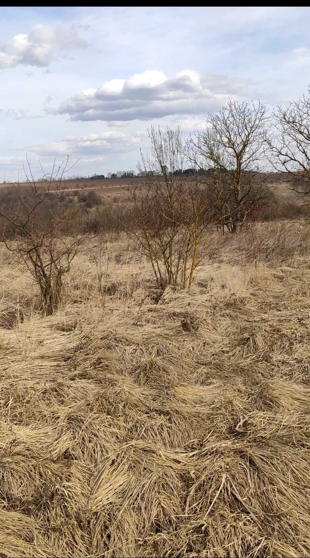 Земельна ділянка для будівництва в місті Снятин
