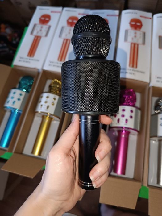 Дитячий портативний мікрофон микрофон детский USB зарядка