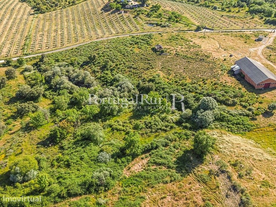 Quinta com 19,6 hectares ideal para projetos agroflorestais