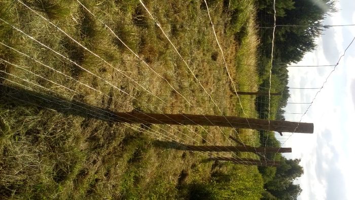Siatka leśna autostradowa ogrodzenie na zwierzynę dzika płot ASF 150cm