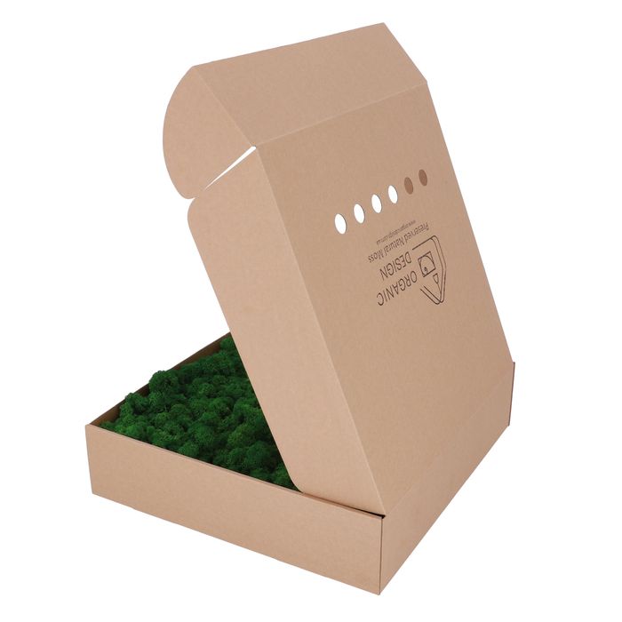 Стабілізаційний Мох. Cкандинавський Ягель