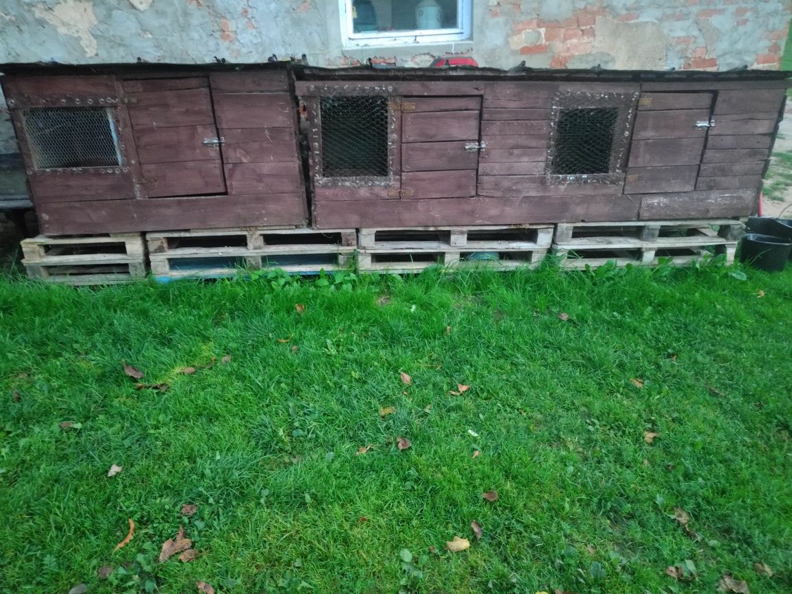 Klatki dla królików