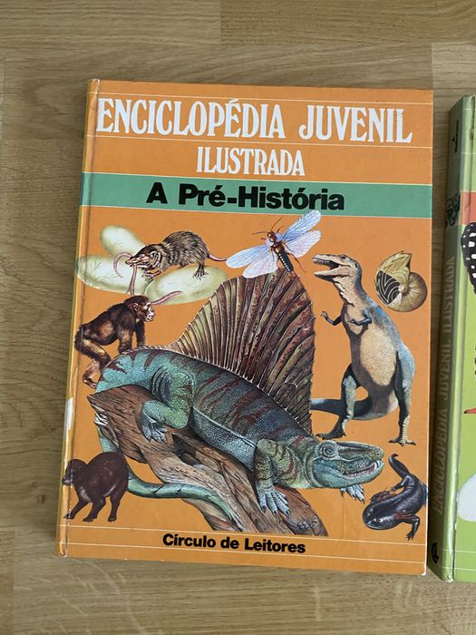 Enciclopédia Juvenil