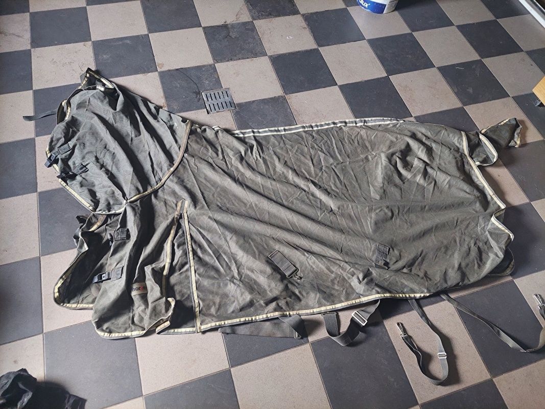 Derka siatkowa 155