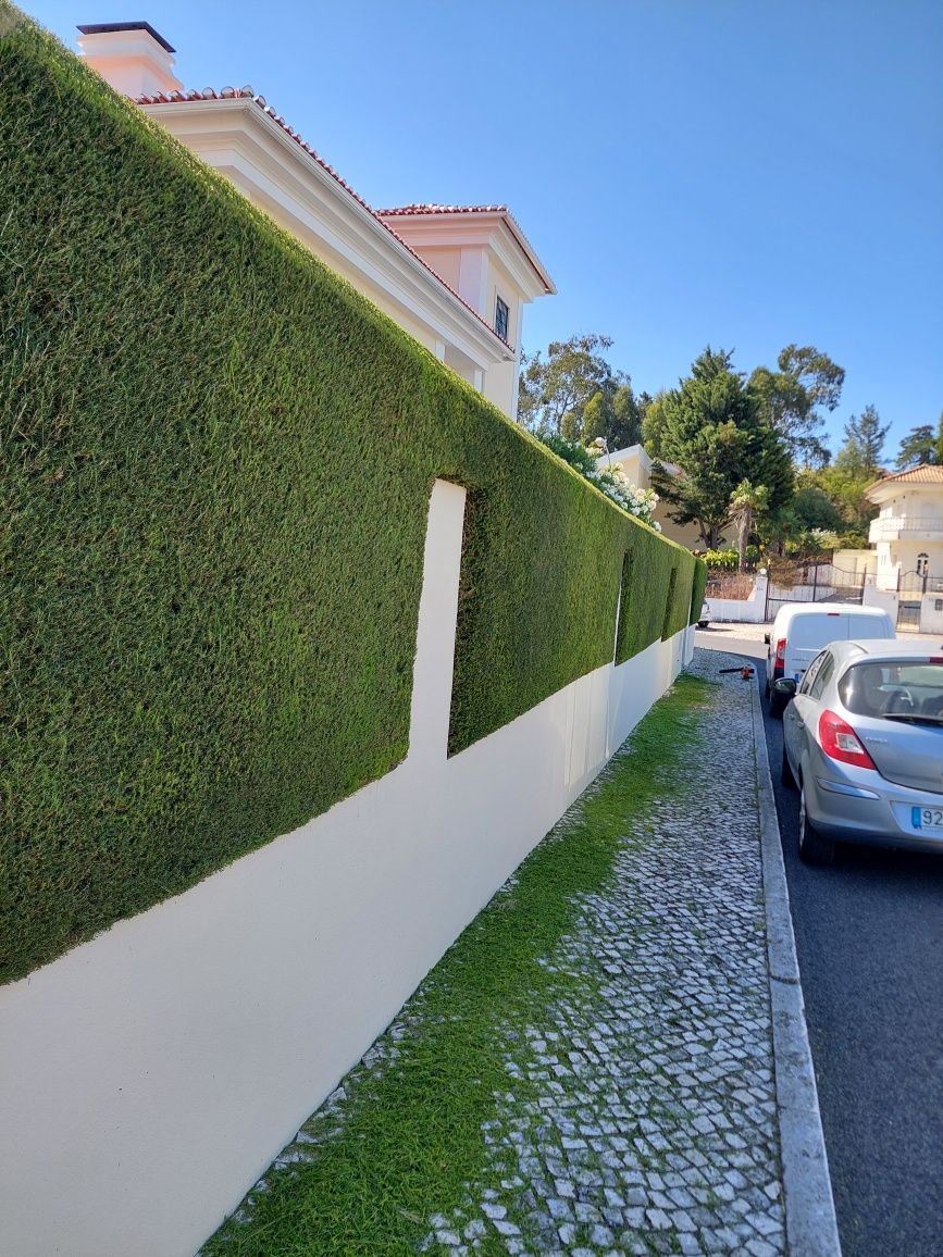 Manutenção de jardins