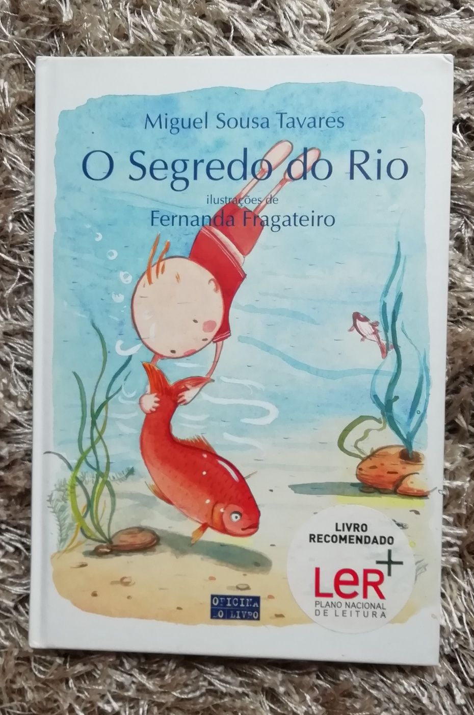 O Segredo do Rio