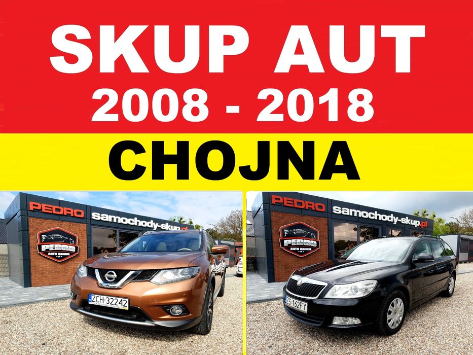 PEDRO – SKUP AUT CHOJNA (2008r-2018r) - W pełni sprawne lub do naprawy