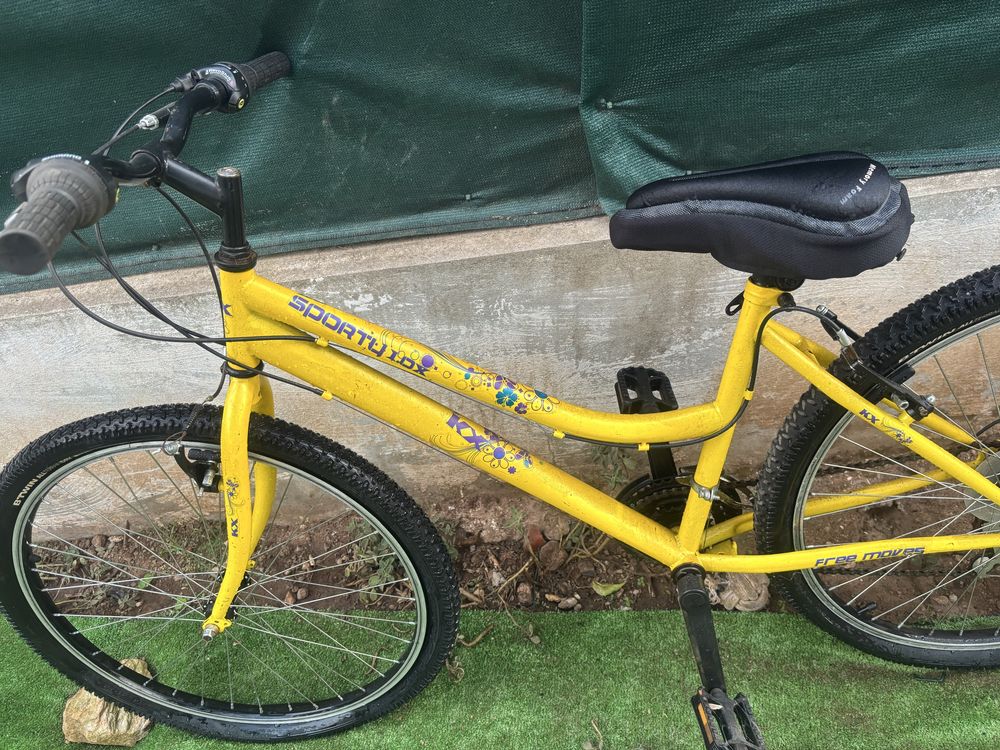 Bicicleta sporty