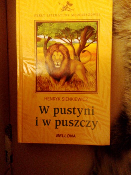 Książka W pustyni i w puszczy