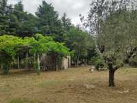 Quintinha casinha em pedra