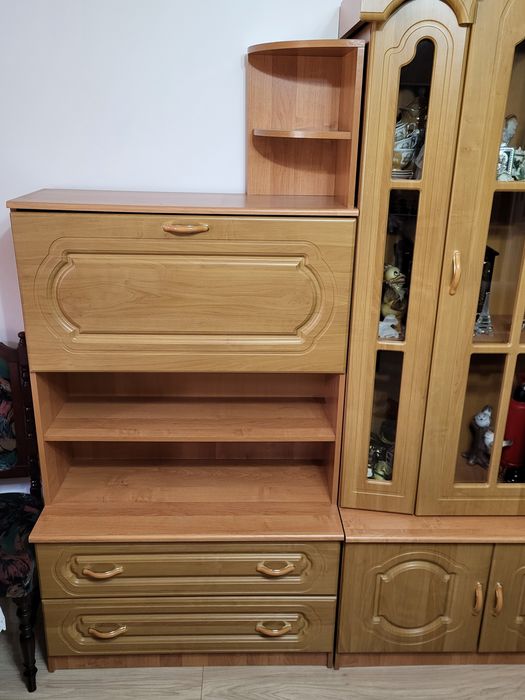 Szafa- meble Mebloscianka pokojowa