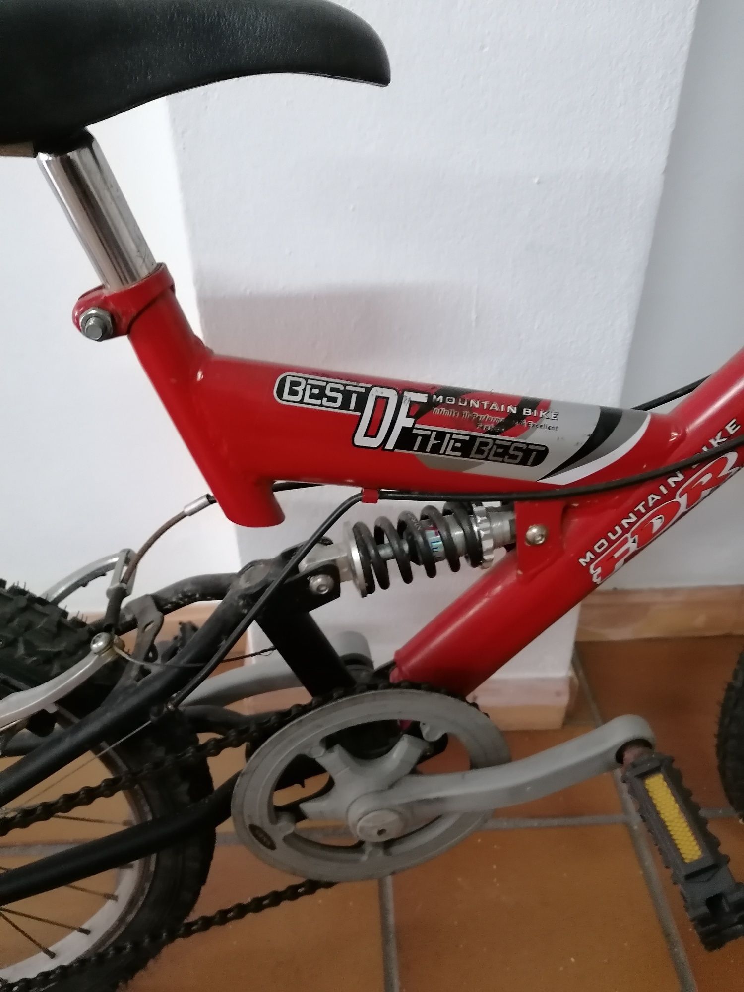 Bicicleta  mountain bike FDR