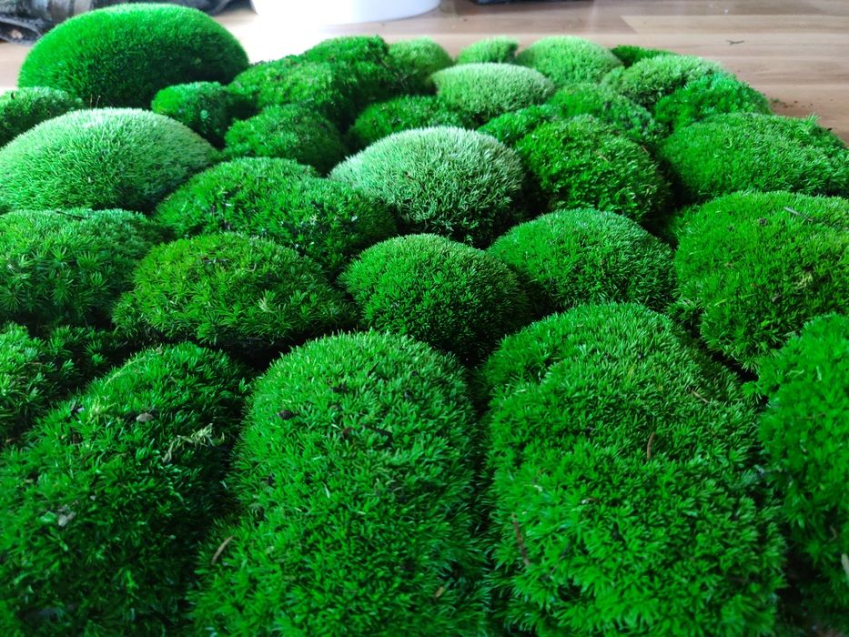 Panel mech poduszkowy NA WYMIAR